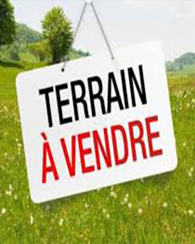 Terrain